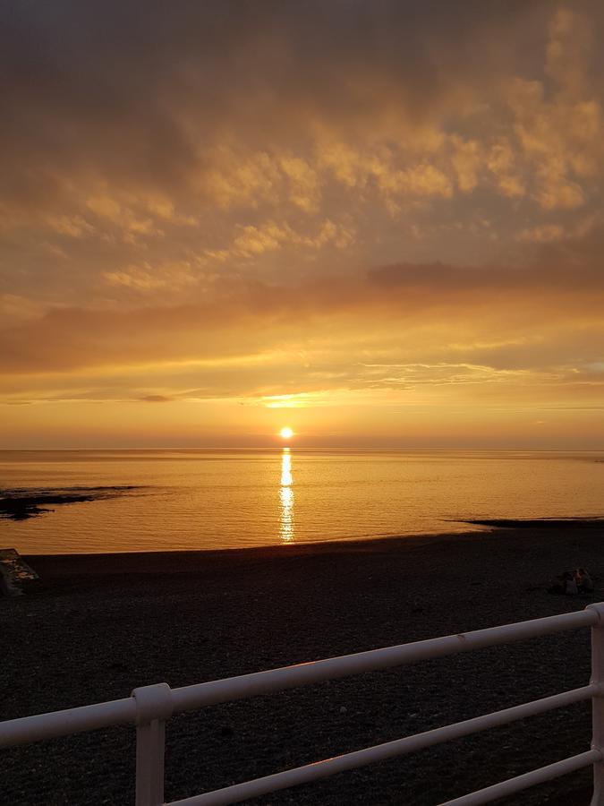 Parc Y Bryn Serviced Apartments Aberystwyth Bagian luar foto